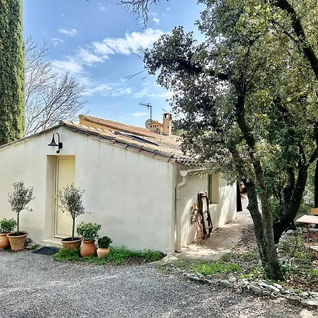 Joli Studio Les Hibiscus Du Pic Saint Loup Exterior foto